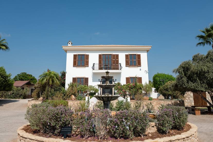 L'Chateau - Paphos — photo 5