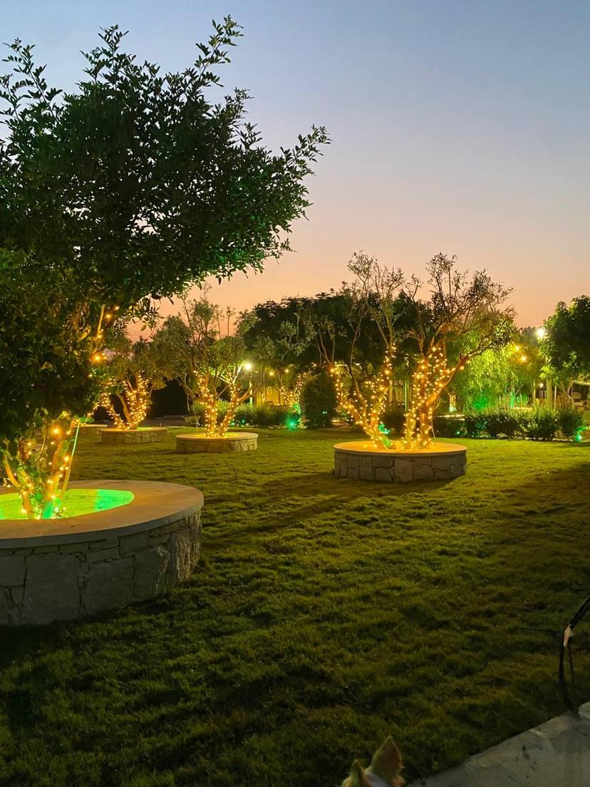 NEW VENUE : Oasis Gardens - Paphos - Opening May 2027 — photo 4